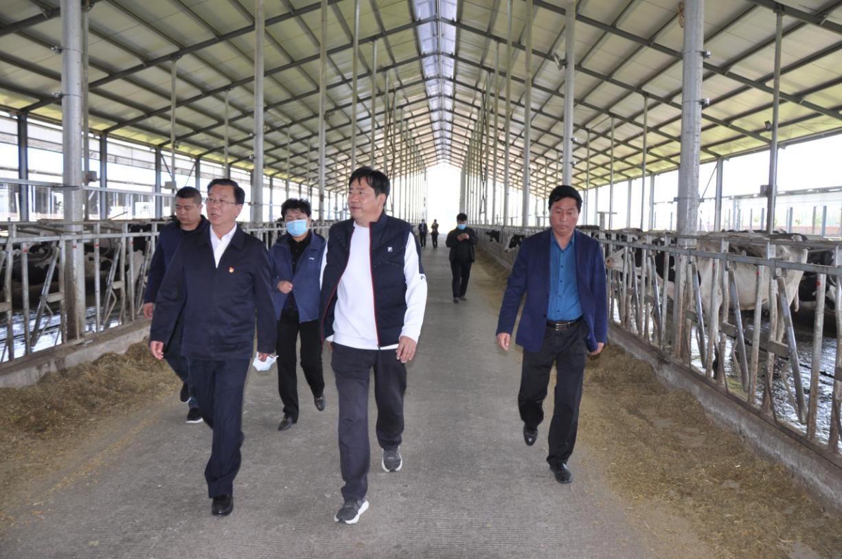商丘市委常委、宣傳部部長王全周一行蒞臨睢縣瑞亞牧業(yè)有限公司調(diào)研