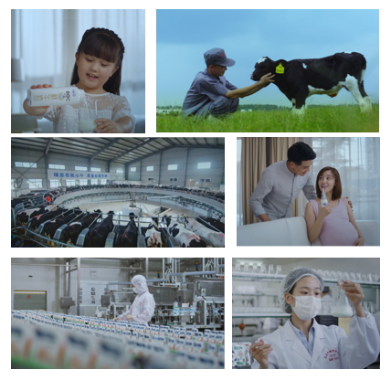 花花牛亮相中國奶業(yè)20強呼倫貝爾峰會，共話中國奶業(yè)振興！